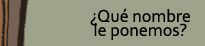 Qu nombre le ponemos?