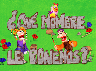 Que nombre le ponemos